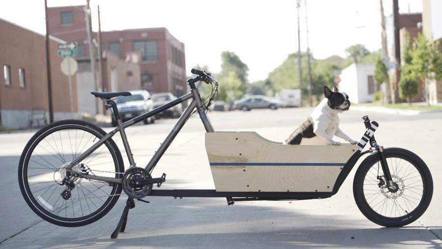 دوچرخه سواری با حیوان خانگی 