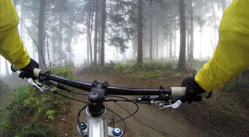 دوچرخه سواری در جنگل ، دوچرخه کوهستان 