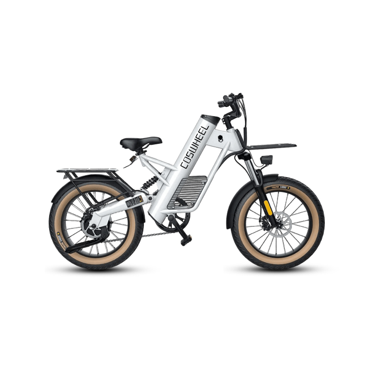 COSWHEEL M20